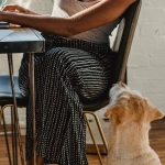 Слот The Dog House Megaways интерфейс игры с барабанами