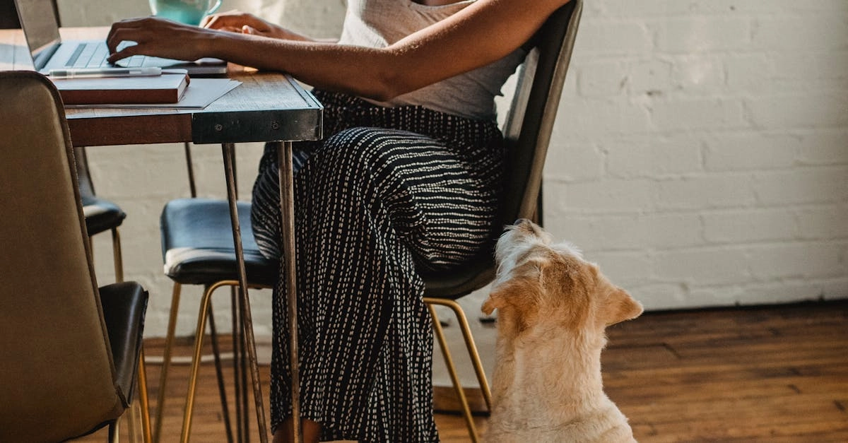 Слот The Dog House Megaways интерфейс игры с барабанами