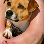 Программы лояльности казино без депозита на практике