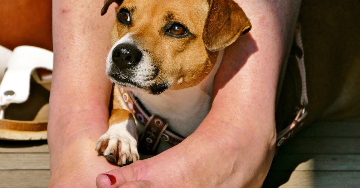 Программы лояльности казино без депозита на практике